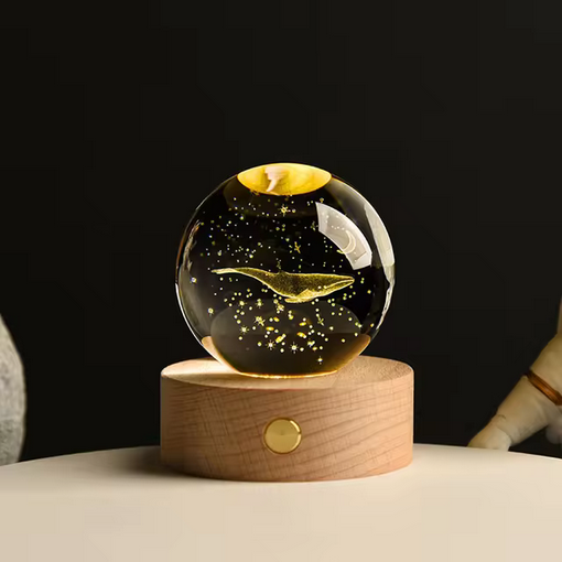 Globes de Lumière Enchantée
