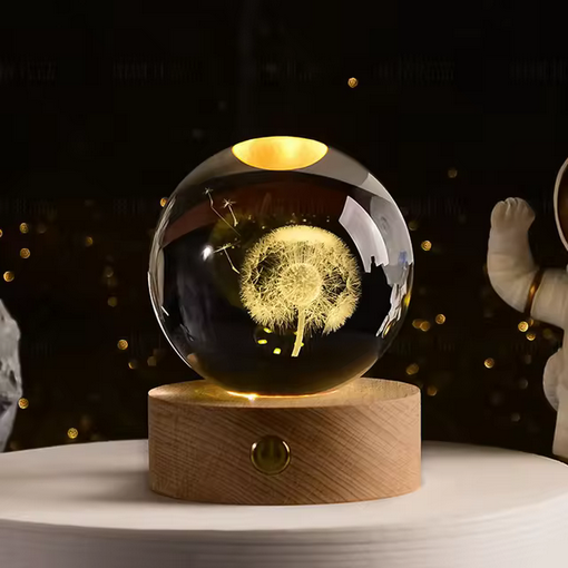 Globes de Lumière Enchantée